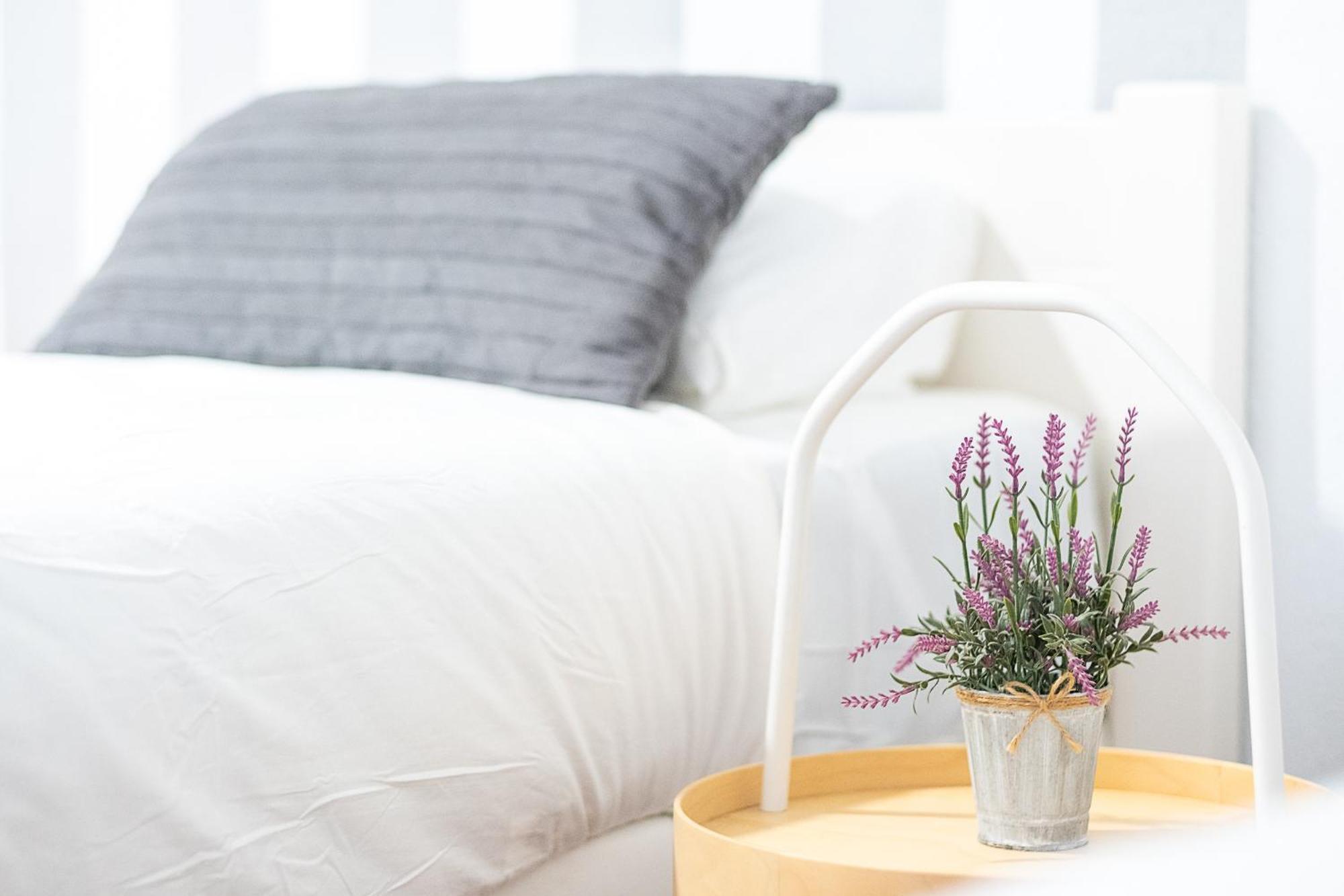 Appartement New Folch A *