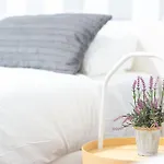 Apartamento New Folch Sevilla A